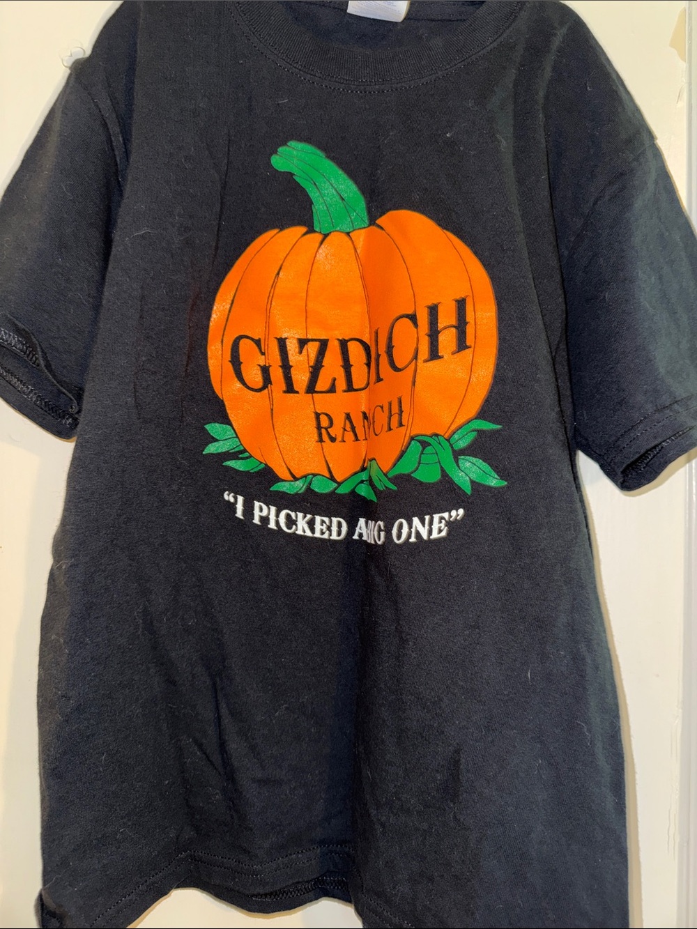 Kids Black Pumpkin Graphic Tee Medium | used 🫶🏼GIZDICH